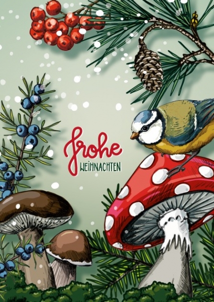 ILX0093 Zwibat Weihnachten Vogel Pilze Postkarte Nürnberg