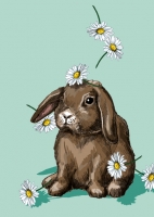 IL0314 Janku Hase Postkarte illi Nürnberg IL0314 Janku Hase Postkarte illi Nürnberg