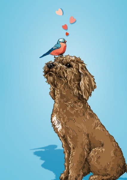 IL0441 Hund Stavo Postkarte illi Nürnberg