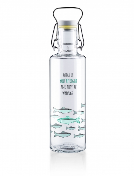 Trinkflasche Glas soulbottles You're right 0,6 l Fische What if you're right and they're wrong? gegen den Strom schwimmen 