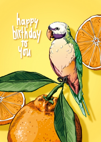 IL0387 Ruba happy birthday Vogel Orange Postkarte illi Nürnberg