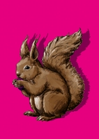 IL0414 Eichhörnchen Tilda illi Postkarte Nürnberg IL0414 Eichhörnchen Tilda illi Postkarte Nürnberg