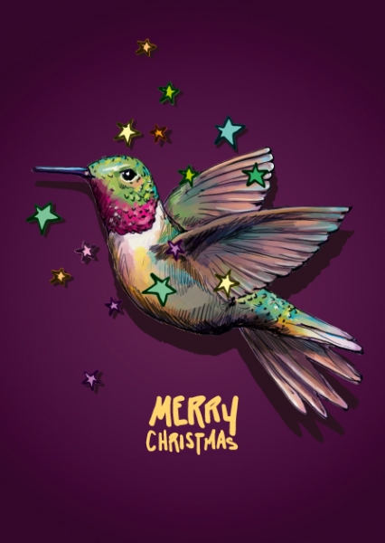 ILX0037 Vogel Fido merry Christmas Sterne illi Nürnberg Postkarte
