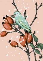 IL0133 Hermine Vogel Weihnachten illi Postkarte IL0133 Hermine Vogel Weihnachten illi Postkarte