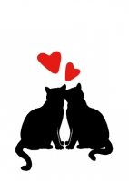 IL0255 Lupa und Kinta Katzen illi Postkarte IL0255 Lupa und Kinta Katzen illi Postkarte