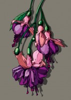 IL0236 Lola Blume illi Postkarte IL0236 Lola Blume illi Postkarte