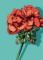 IL0216 Anna Blume illi Postkarte IL0216 Anna Blume illi Postkarte