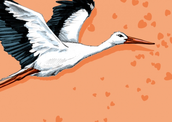 IL0459 Postkarte Storch Wuki illi Nürnberg