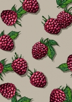 IL0251 Juma 1 Himbeeren illi Postkarte IL0251 Juma 1 Himbeeren illi Postkarte