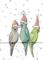 IL0139 Vögel Mimmi Ida Luc Weihnachten illi Postkarte IL0139 Vögel Mimmi Ida Luc Weihnachten illi Postkarte