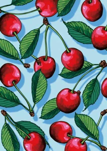 IL0450 Kirschen Kisu Postkarte Nürnberg