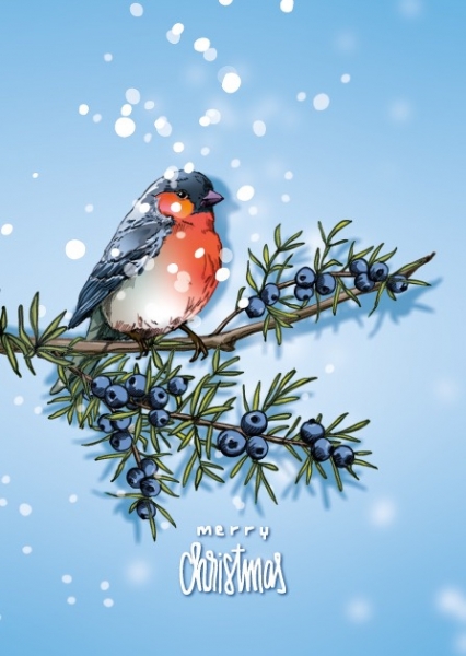 ILX0094 Winni Merry Christmas Weihnachten Vogel Postkarte Nürnberg