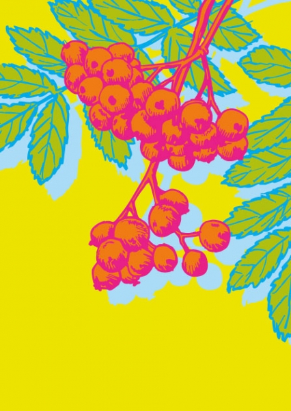 ILP010 Beeren Bacca illi Postkarte Nürnberg