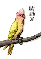 IL0241 Feniz Happy Birthday illi Postkarte IL0241 Feniz Happy Birthday illi Postkarte