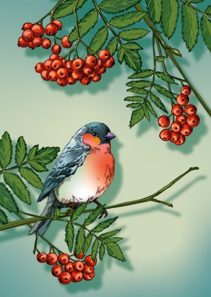 IL0436 Vogel Lalio Postkarte illi Nürnberg