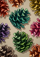 ILX0053 Pinbap Weihnachten Zapfen Nürnberg Postkarte ILX0053 Pinbap Weihnachten Zapfen Nürnberg Postkarte