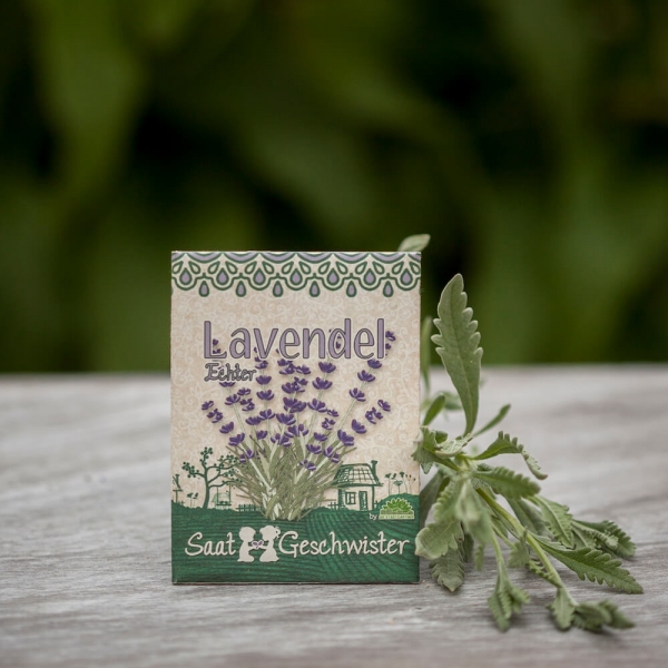 Die Stadtgärtner Saatgut Samen Lavendel
