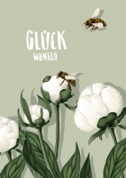 IL0261 Peoni Glückwunsch Blumen Postkarte illi IL0261 Peoni Glückwunsch Blumen Postkarte illi