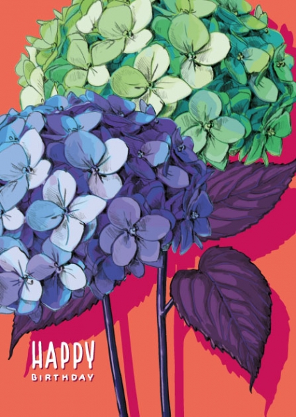 IL0446 Blume Peti Happy Birthday Postkarte Nürnberg