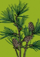 IL0267 Panga illi Postkarte Weihnachten Nürnberg IL0267 Panga illi Postkarte Weihnachten Nürnberg