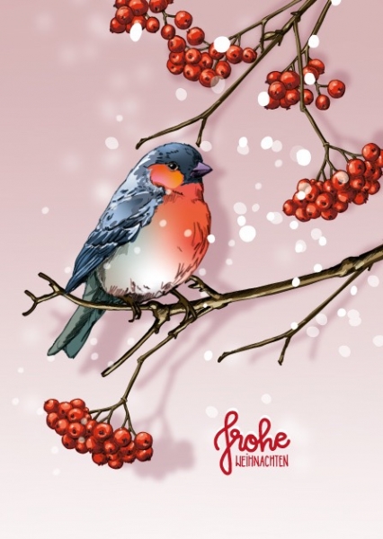 ILX0092 Vogel Nalli Weihnachten Postkarte Nürnberg