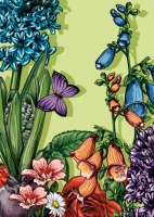 IL0332 Blumen Taliblola Postkarte illi Nürnberg IL0332 Blumen Taliblola Postkarte illi Nürnberg