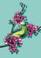 IL0232 Nobi Vogel illi Postkarte IL0232 Nobi Vogel illi Postkarte