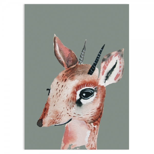 Postkarte Antilope nuukk
