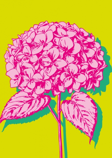 ILP003 Blume Hani Postkarte illi Nürnberg