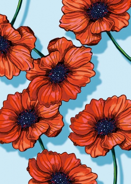 IL0447 Blume Lomi Postkarte Nürnberg