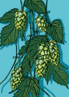 IL0243 Hopys Hopfen illi Postkarte IL0243 Hopys Hopfen illi Postkarte