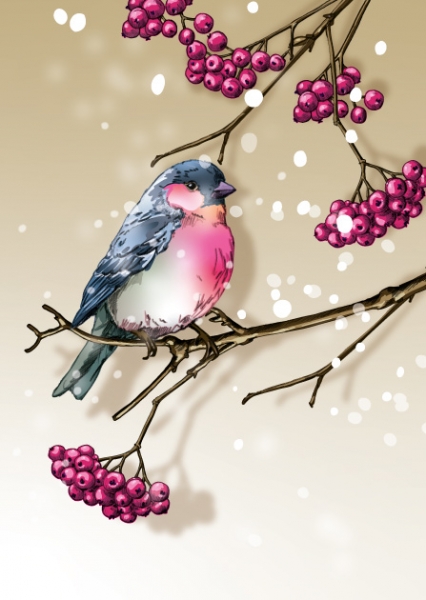ILX0108 Vogel Badiba illi Postkarte Nürnberg frohe Weihnachten