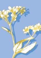 ILG021 Walima Goldprägung Blume Postkarte illi Nürnberg  ILG021 Walima Goldprägung Blume Postkarte illi Nürnberg