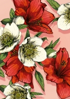 IL0407 Palli Blumen Postkarte illi Nürnberg IL0407 Palli Blumen Postkarte illi Nürnberg