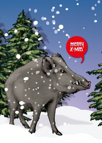 ILX0095 Seppi Merry x-mas Weihnachten Wildschwein Postkarte Nürnberg