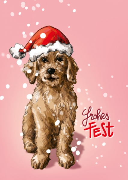 ILX0119 Hund Nolo illi Postkarte Nürnberg frohes Fest Weihnachten