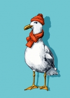 IL0308 Tapo Möwe Postkarte illi Nürnberg IL0308 Tapo Möwe Postkarte illi Nürnberg