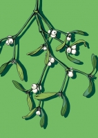 IL0221 Mistel Weihnachten illi Postkarte IL0221 Mistel Weihnachten illi Postkarte