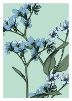 IL0122 Vergissmeinnicht illi Postkarte IL0122 Vergissmeinnicht illi Postkarte