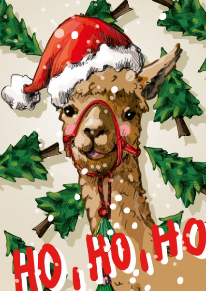 ILX0116 Erix illi Postkarte Nürnberg frohe Weihnachten Ho Ho Ho