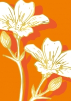 ILG018 Lamuni Goldprägung Blume Postkarte illi Nürnberg  ILG018 Lamuni Goldprägung Blume Postkarte illi Nürnberg