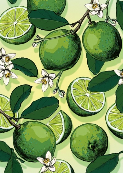 IL0448 Limetten Metti Postkarte Nürnberg