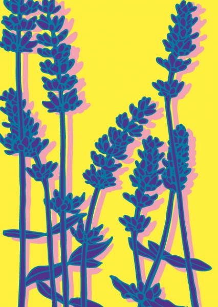 ILP004 Lavendel Lini Postkarte illi Nürnberg