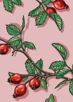 IL0347 Ronita Zweige Postkarte illi Nürnberg IL0347 Ronita Zweige Postkarte illi Nürnberg