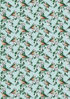 ILX7001 Geschenkpapier illi Pilli Vogel Weihnachten ILX7001 Geschenkpapier illi Pilli Vogel Weihnachten