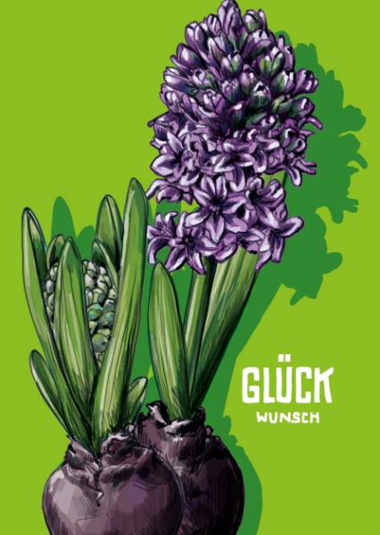 IL0321 Blumen Jacinto Lila Glückwunsch Postkarte illi Nürnberg