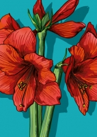 IL0310 Timata Blume Happy Birthday Geburtstag Postkarte illi Nürnberg IL0310 Timata Blume Happy Birthday Geburtstag Postkarte illi Nürnberg