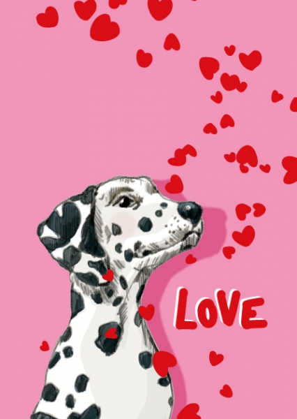 IL0457 Hund Bino Love Postkarte Nürnberg