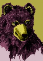 IL0121 Perry Bär illi Postkarte IL0121 Perry Bär illi Postkarte