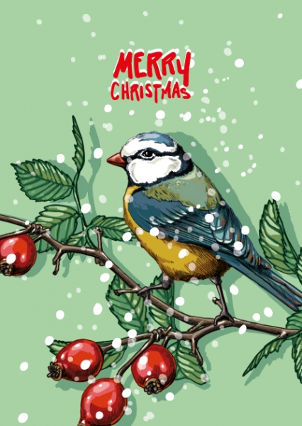 ILX0063 Hippa Merry Christmas Weihnachten Vogel Nürnberg Postkarte